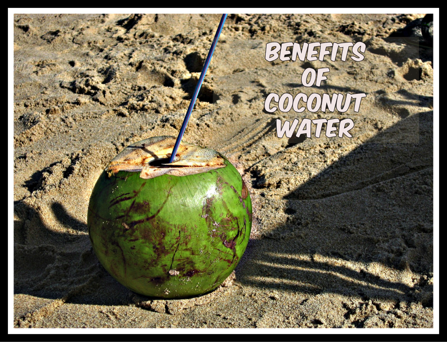 5 Health Benefits of Coconut Water