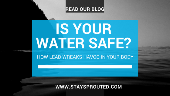 Is your drinking water safe?- How lead wreaks havoc in your body